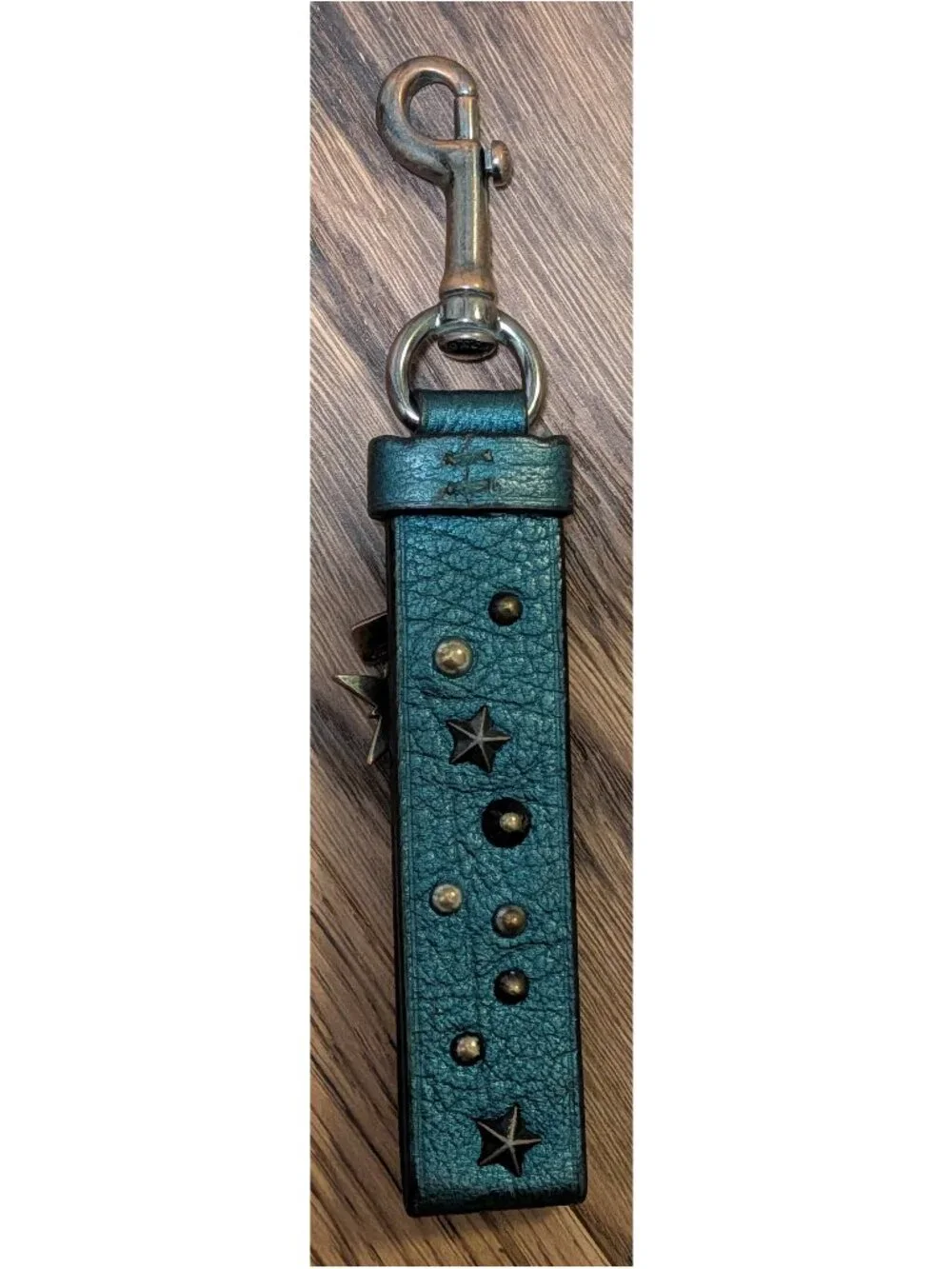 Coach metallic teal